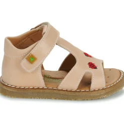 El Naturalista - 5348