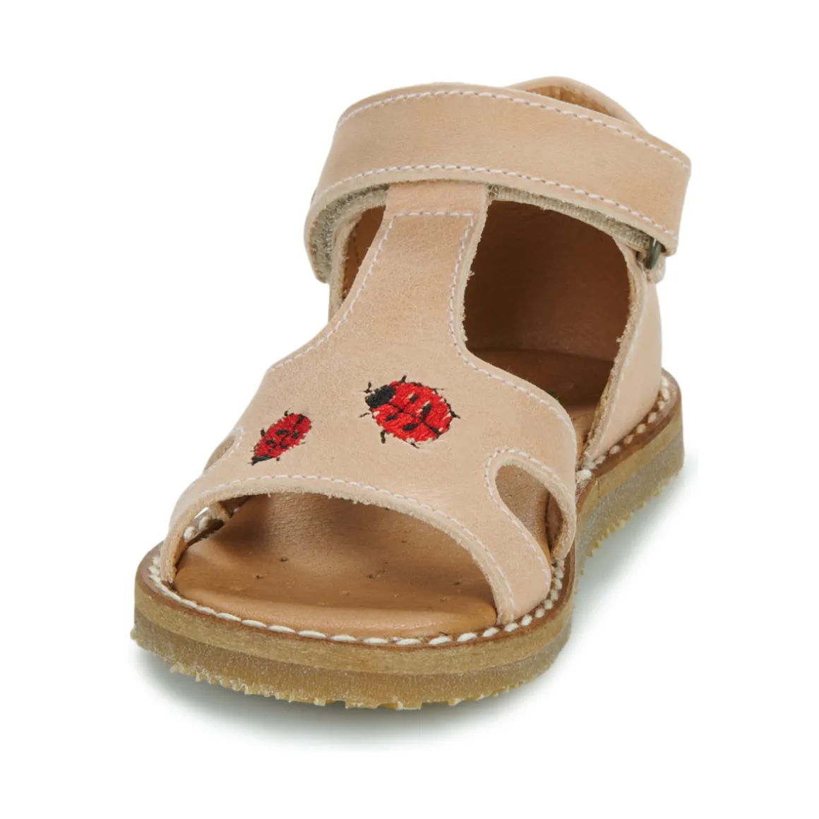 El Naturalista - 5348