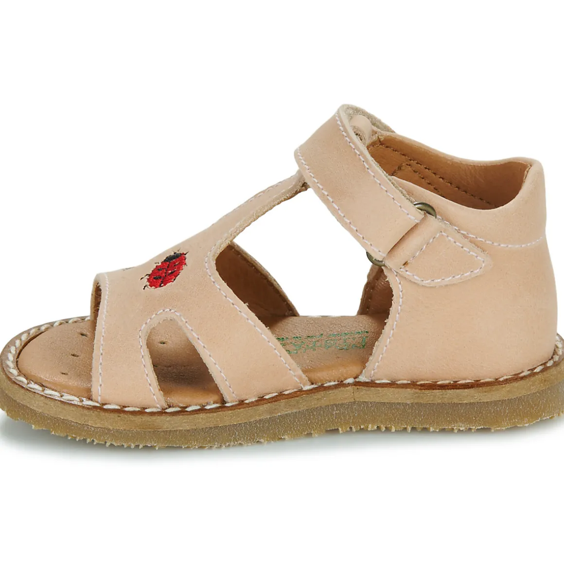 El Naturalista - 5348