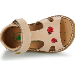 El Naturalista - 5348