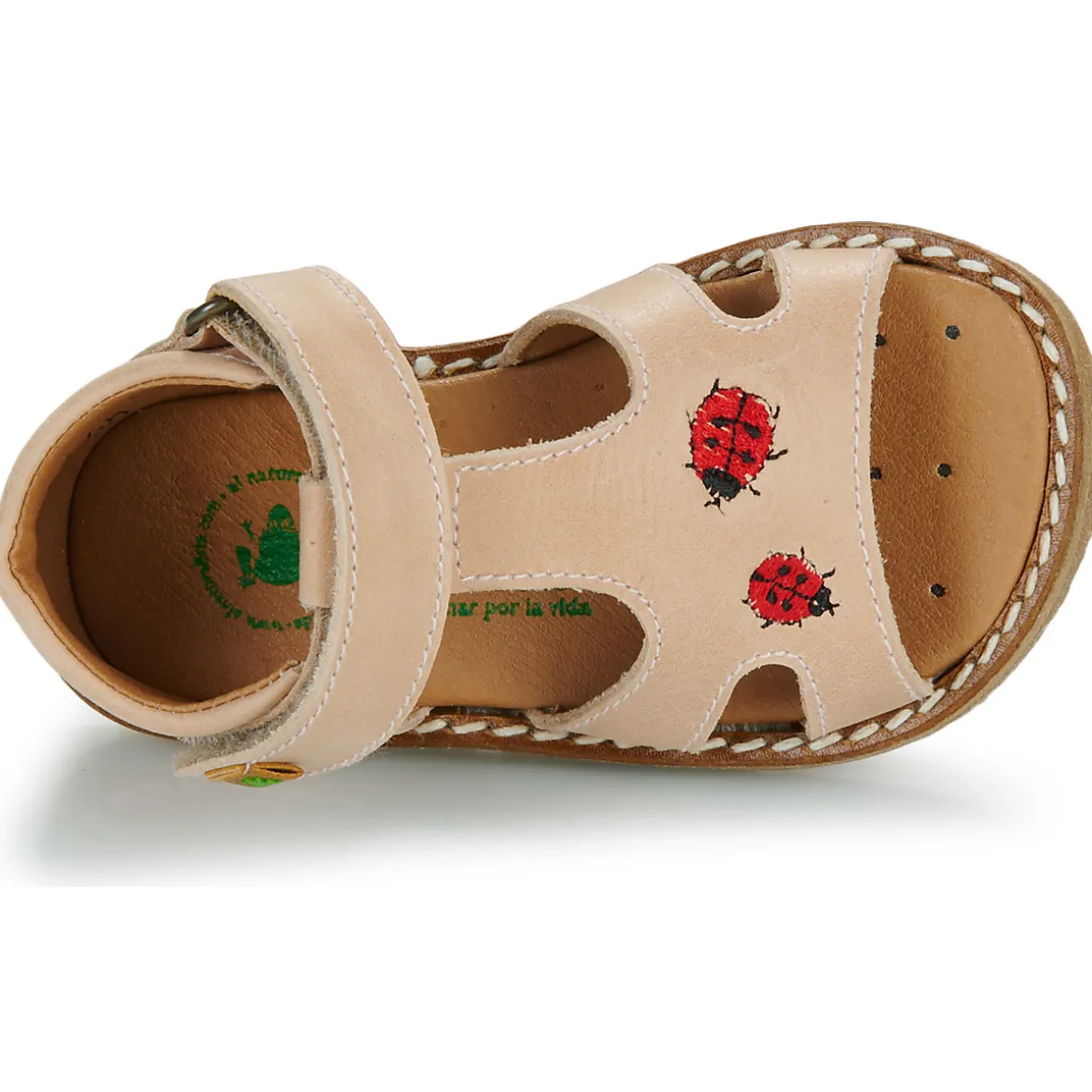 El Naturalista - 5348