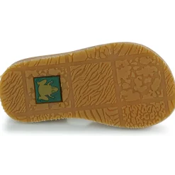 El Naturalista - 5348