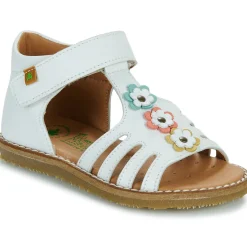 El Naturalista - 5354