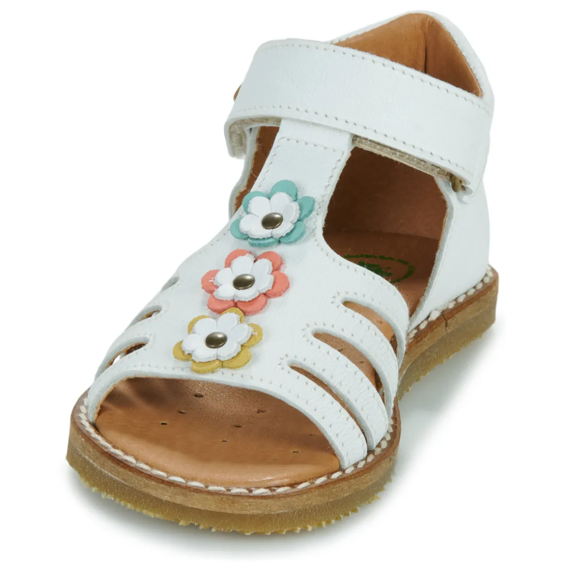 El Naturalista - 5354