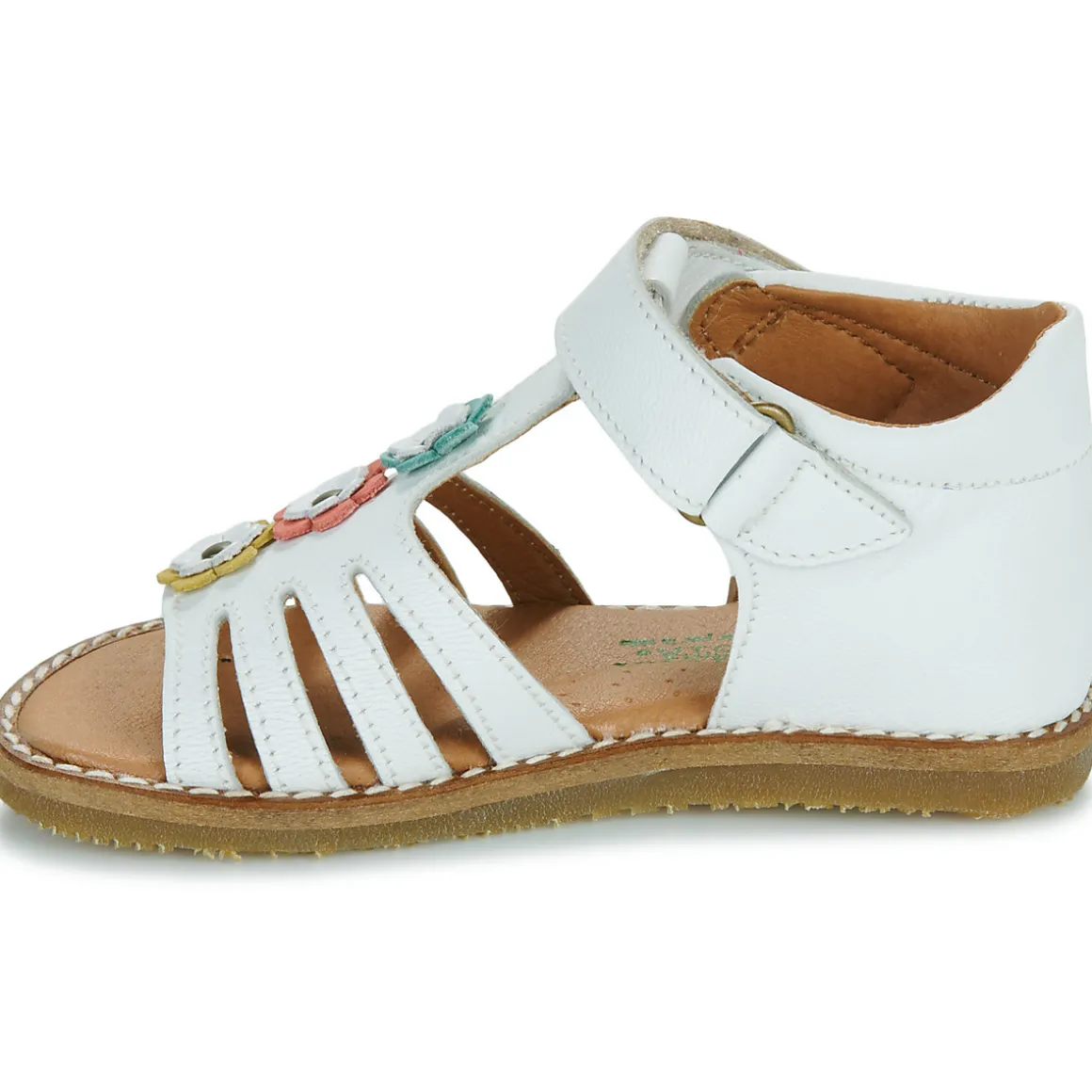 El Naturalista - 5354