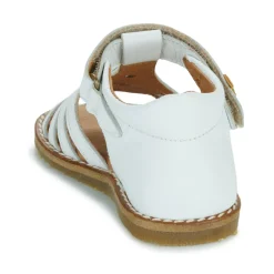 El Naturalista - 5354