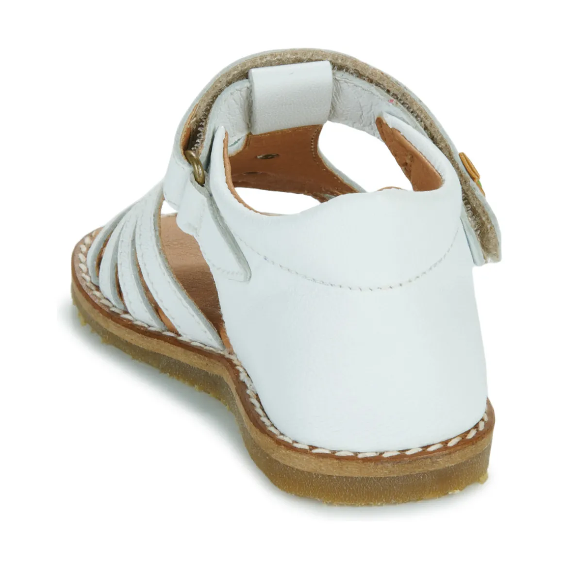 El Naturalista - 5354