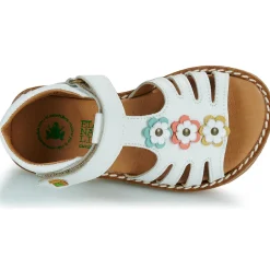 El Naturalista - 5354