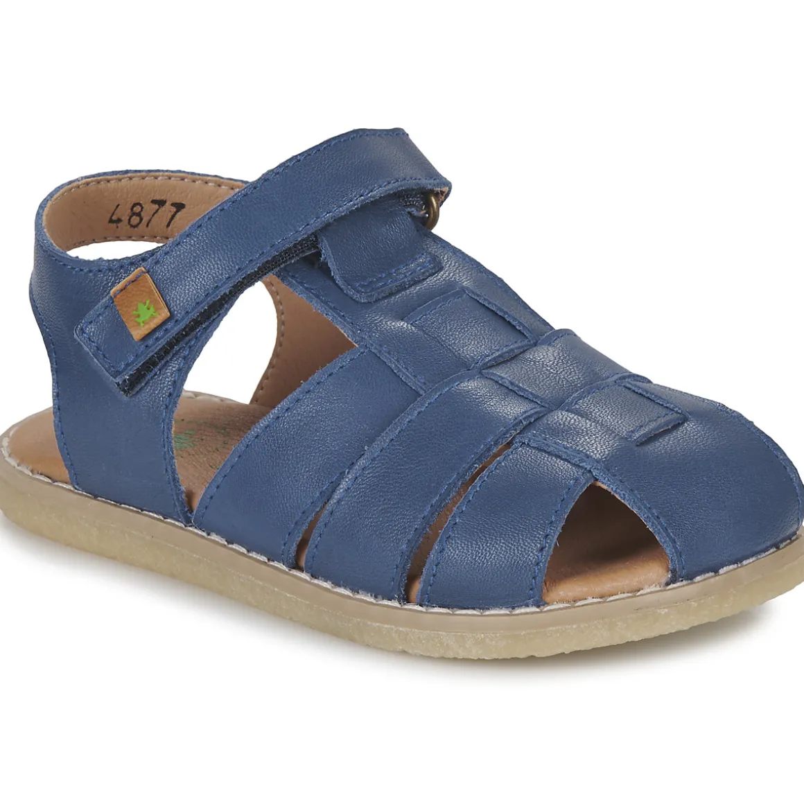 El Naturalista - AFRICA