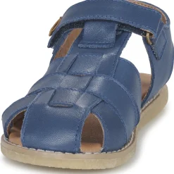 El Naturalista - AFRICA