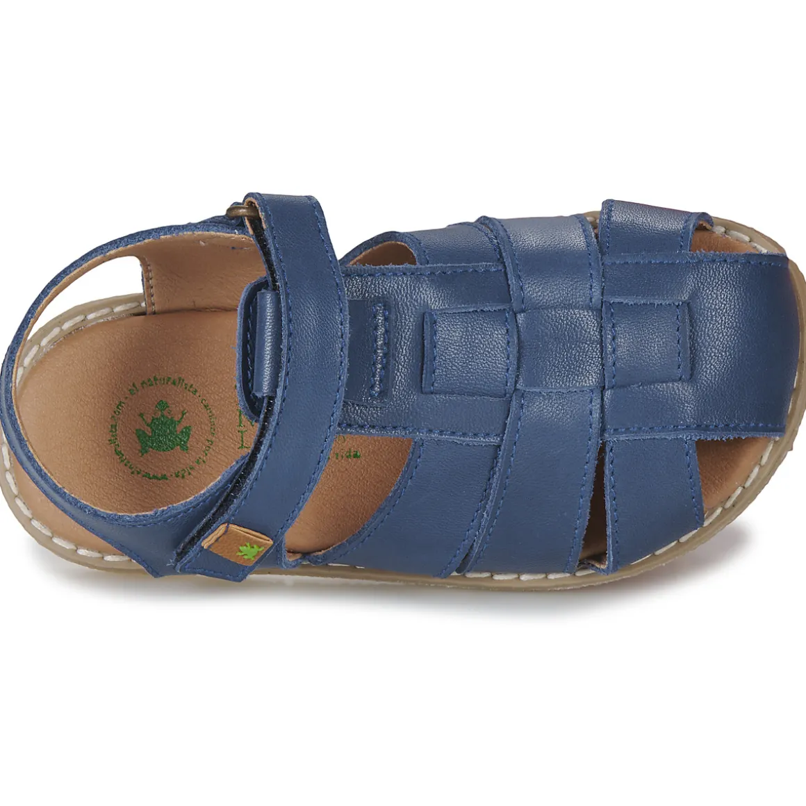 El Naturalista - AFRICA