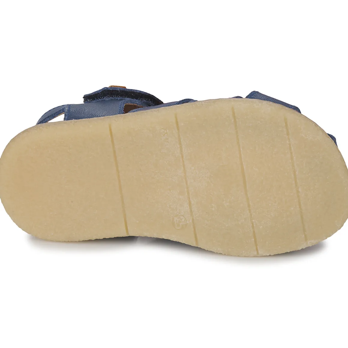 El Naturalista - AFRICA