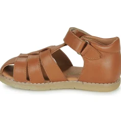 El Naturalista - AFRICA