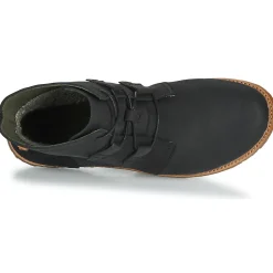 El Naturalista - ANGKOR N5470