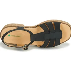 El Naturalista - ARBEQUINA