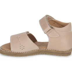 El Naturalista - ATENAS