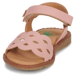 El Naturalista - ATENAS