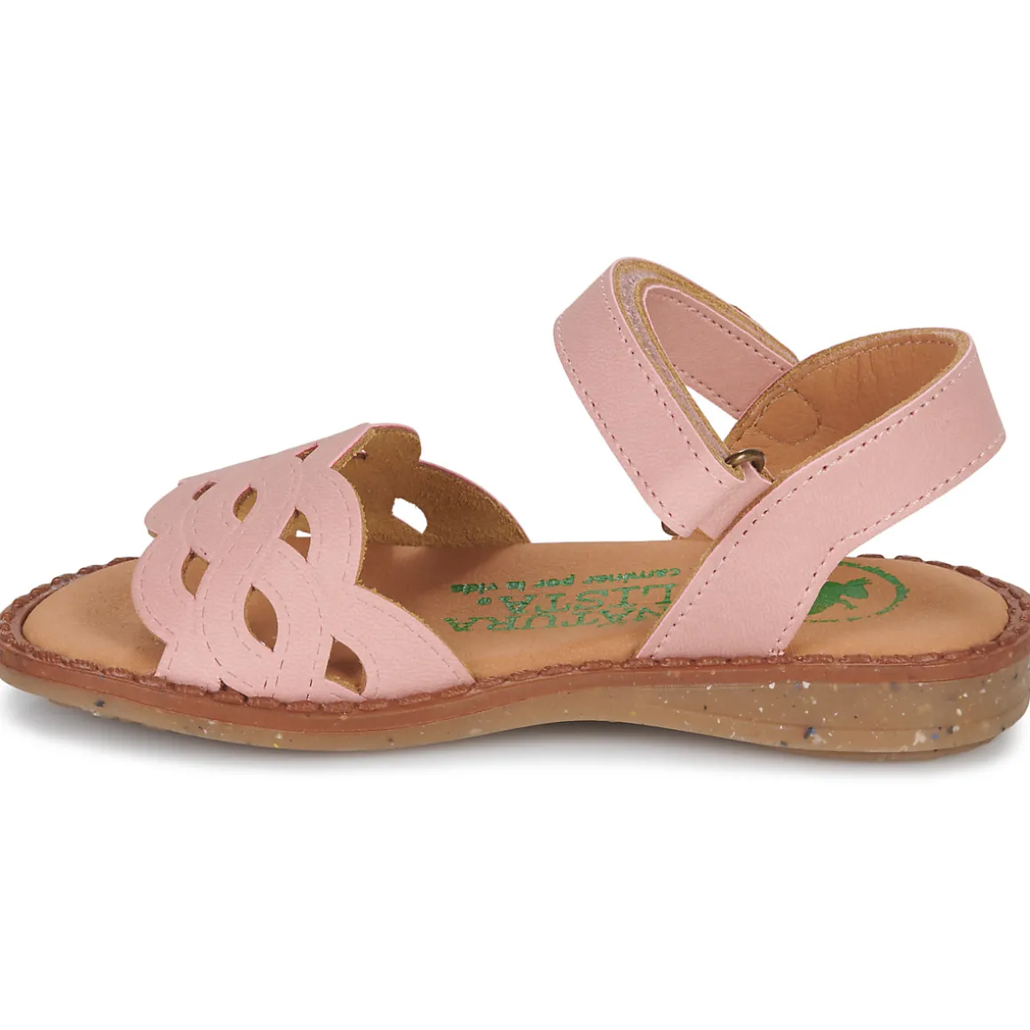 El Naturalista - ATENAS