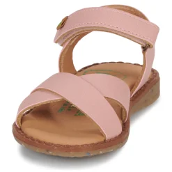 El Naturalista - ATENAS