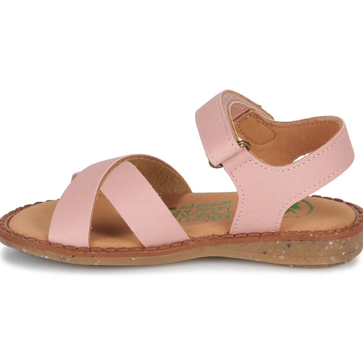 El Naturalista - ATENAS