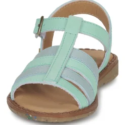 El Naturalista - ATENAS