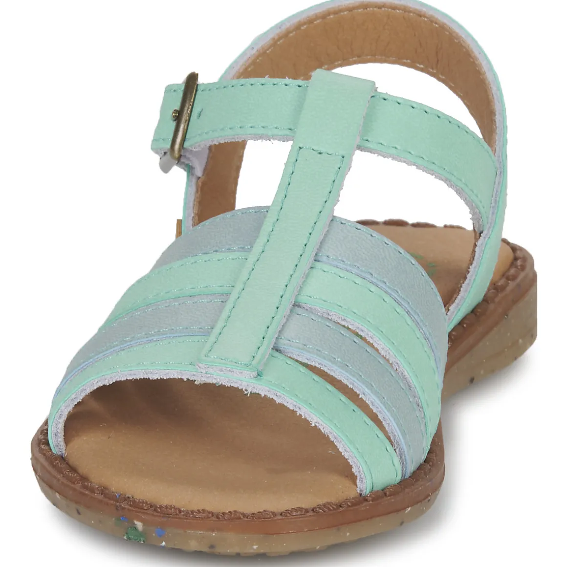 El Naturalista - ATENAS