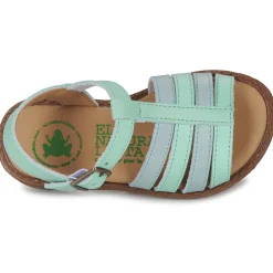 El Naturalista - ATENAS