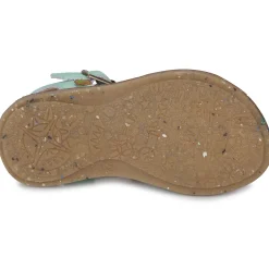 El Naturalista - ATENAS