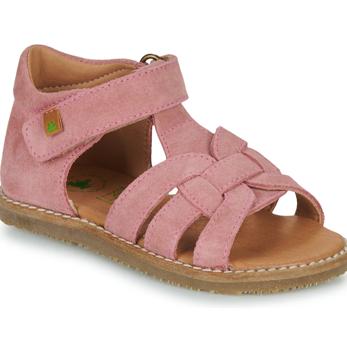 El Naturalista - ATENAS