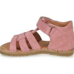 El Naturalista - ATENAS