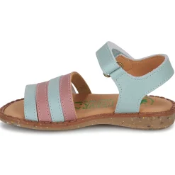 El Naturalista - ATENAS