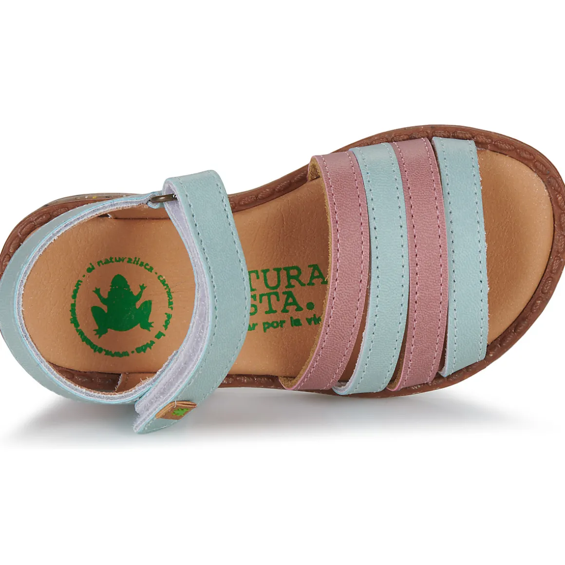 El Naturalista - ATENAS