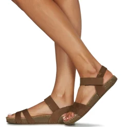 El Naturalista - BALANCE N5790