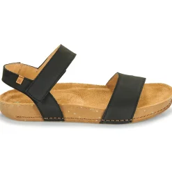 El Naturalista - BALANCE N5790