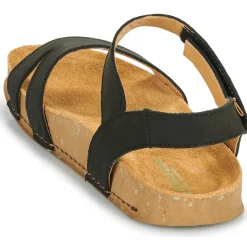 El Naturalista - BALANCE N5790