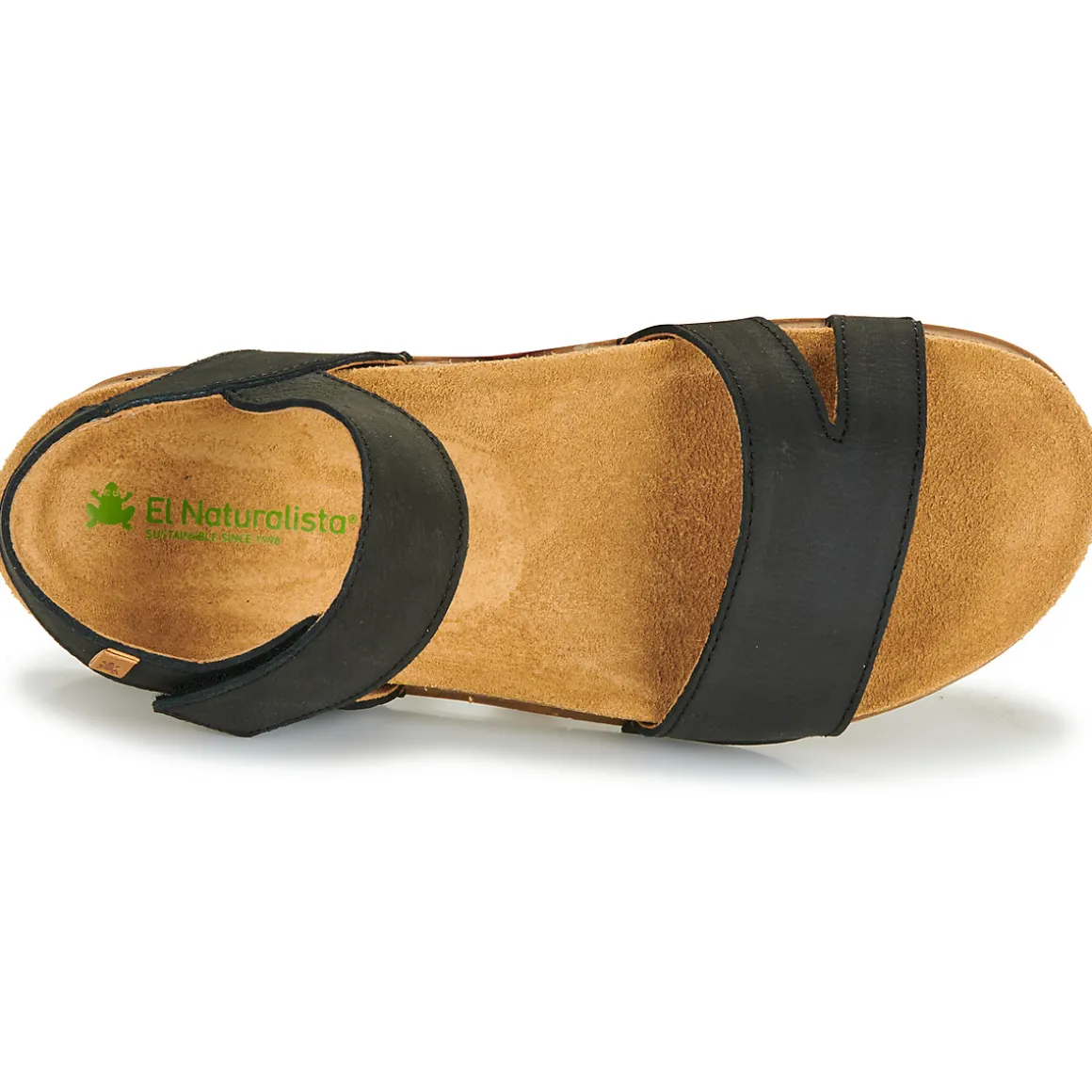 El Naturalista - BALANCE N5790