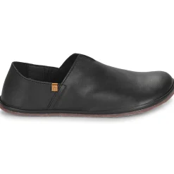 El Naturalista - BARE N5673