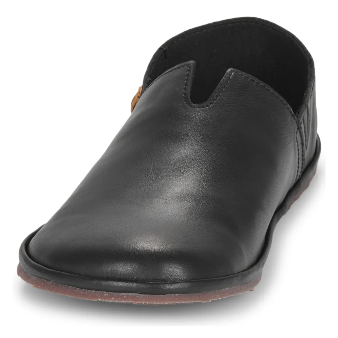 El Naturalista - BARE N5673