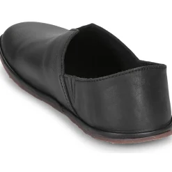 El Naturalista - BARE N5673