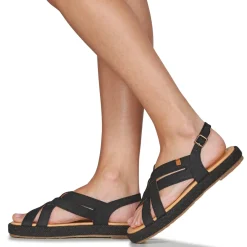 El Naturalista - BOSANA N5882