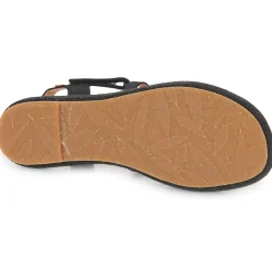 El Naturalista - BOSANA N5881