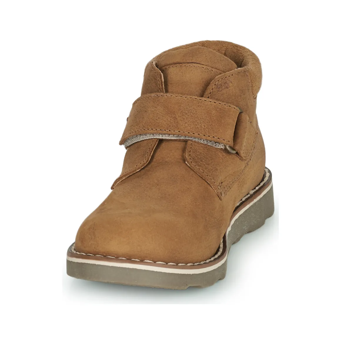 El Naturalista - BROSSI