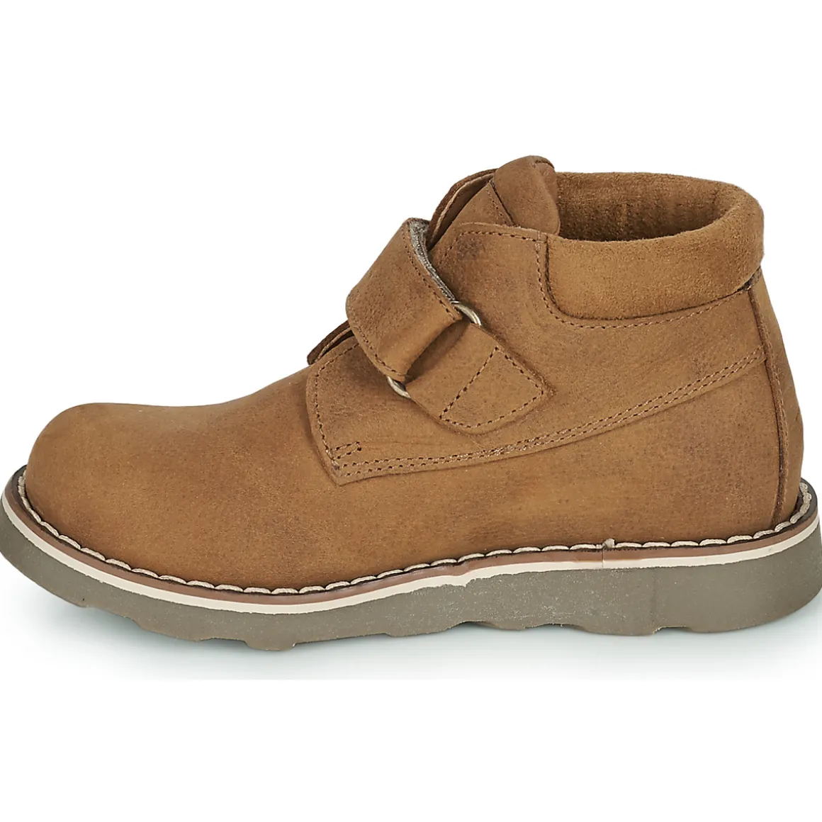 El Naturalista - BROSSI