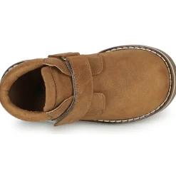 El Naturalista - BROSSI