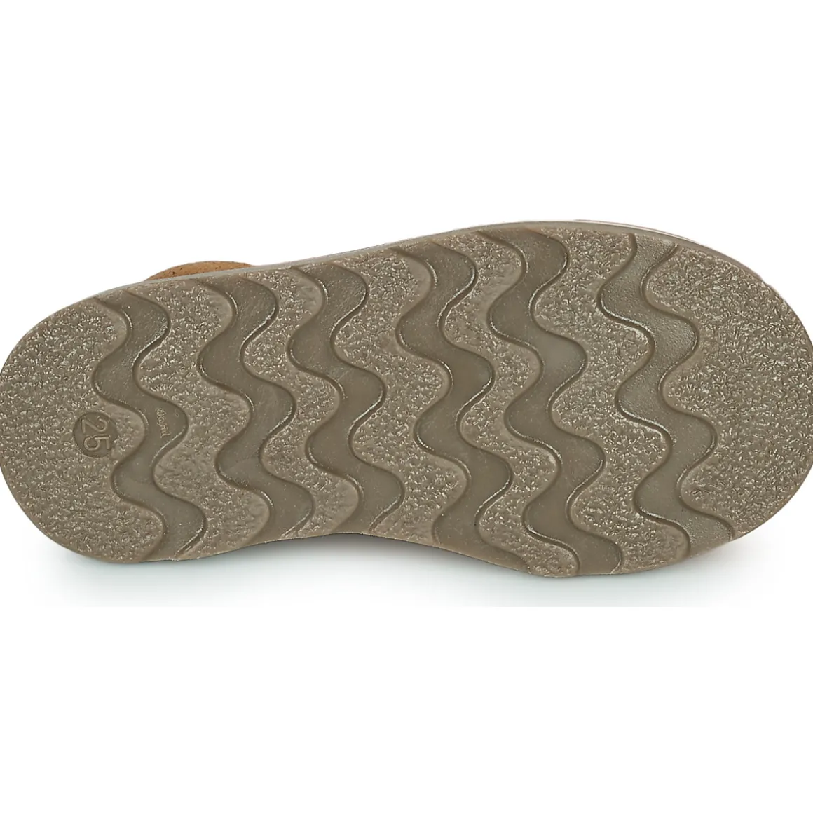 El Naturalista - BROSSI