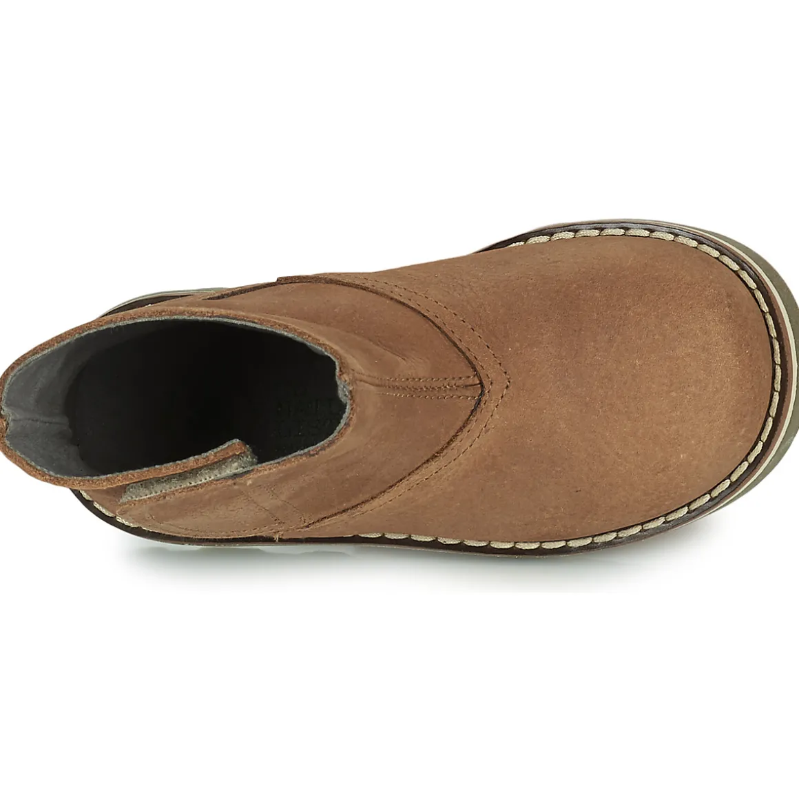 El Naturalista - BROSSI