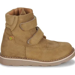 El Naturalista - Brossi