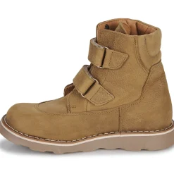 El Naturalista - Brossi