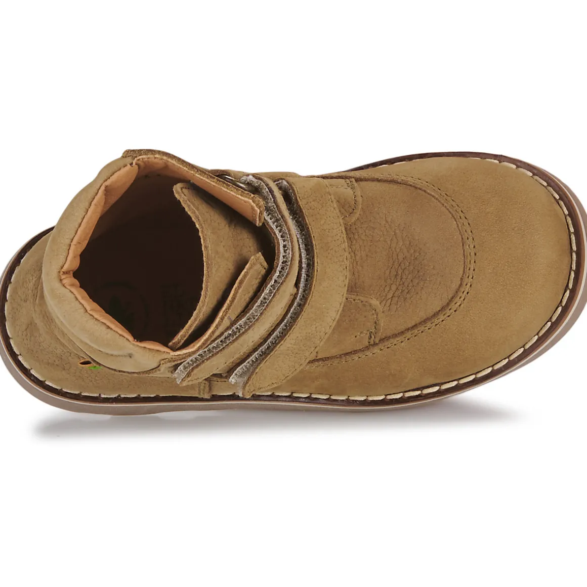 El Naturalista - Brossi