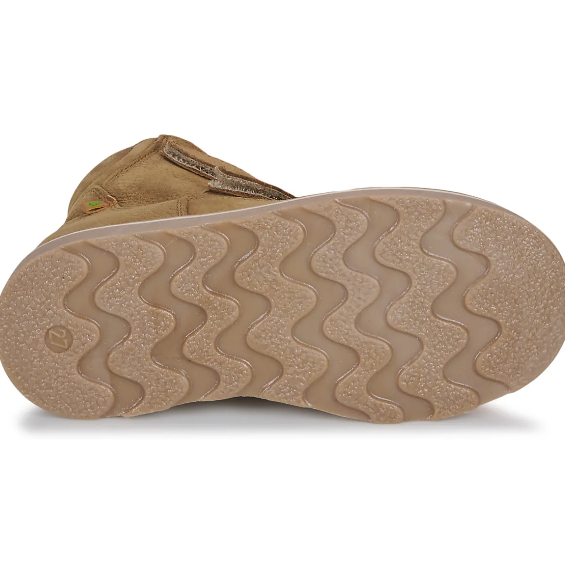 El Naturalista - Brossi